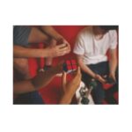 ⁦لغز مطابقة الألوان الكلاسيكي لمكعب روبيكس 2 × 2⁩ - الصورة ⁦3⁩